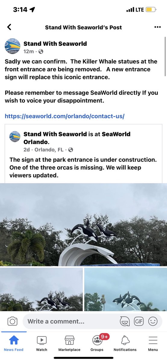 shamu1964's tweet photo. Here’s the link: https://t.co/K7ixr2oIPC

@SeaWorld don’t take it away 🥺 add more animals or rides to reflect the diversity in the park, but don’t take the orcas away https://t.co/JOPpGiGJv9