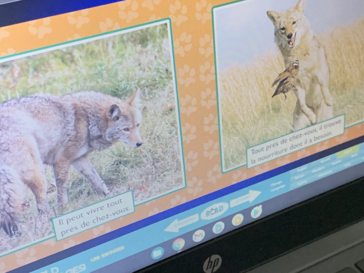 mjwheelerali's tweet photo. Thanks @PDSB_Libraries for ensuring there are @AV2Books #eBooks for learners! Definitely a wide range of topics & languages so there’s something for everyone! #PeelEML #BYODPage #StudentPortal #AccessToTech #DigitalResources #PeelEML https://t.co/DlRulF7vAc