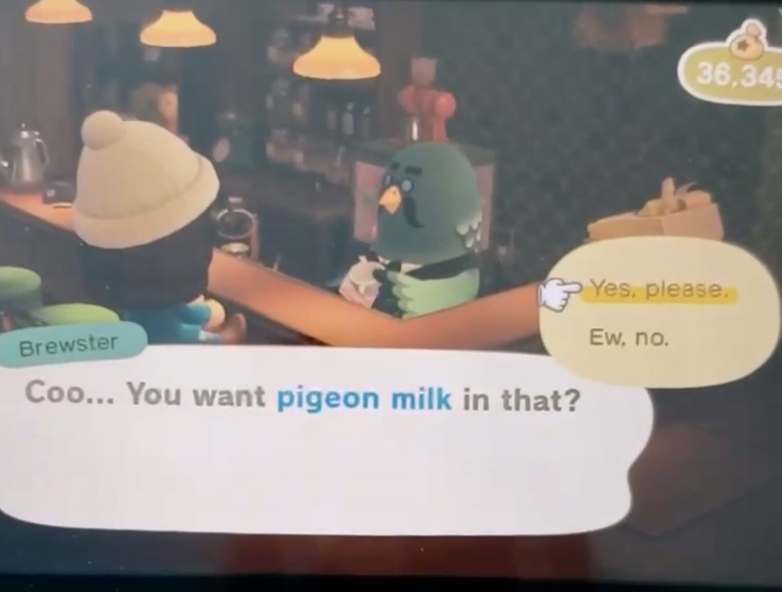 RosemaryMosco's tweet photo. A friend just asked me about this. As someone who just wrote a book about pigeons and their biology, I’m uniquely positioned to swoop in and help.
So yes, male and female pigeons produce milk. They secrete it into a part of their esophagus called the crop.
#ACNH https://t.co/QRhOcNVGHo