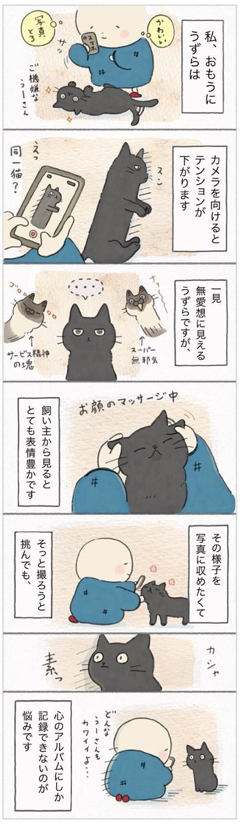 何かを察してスンッと素に戻る猫。 可愛い姿は心の中にしか残らない【連載】ねこ連れ草 202話め|ねこのきもちWEB MAGAZINE https://t.co/VX9YquDNEU 