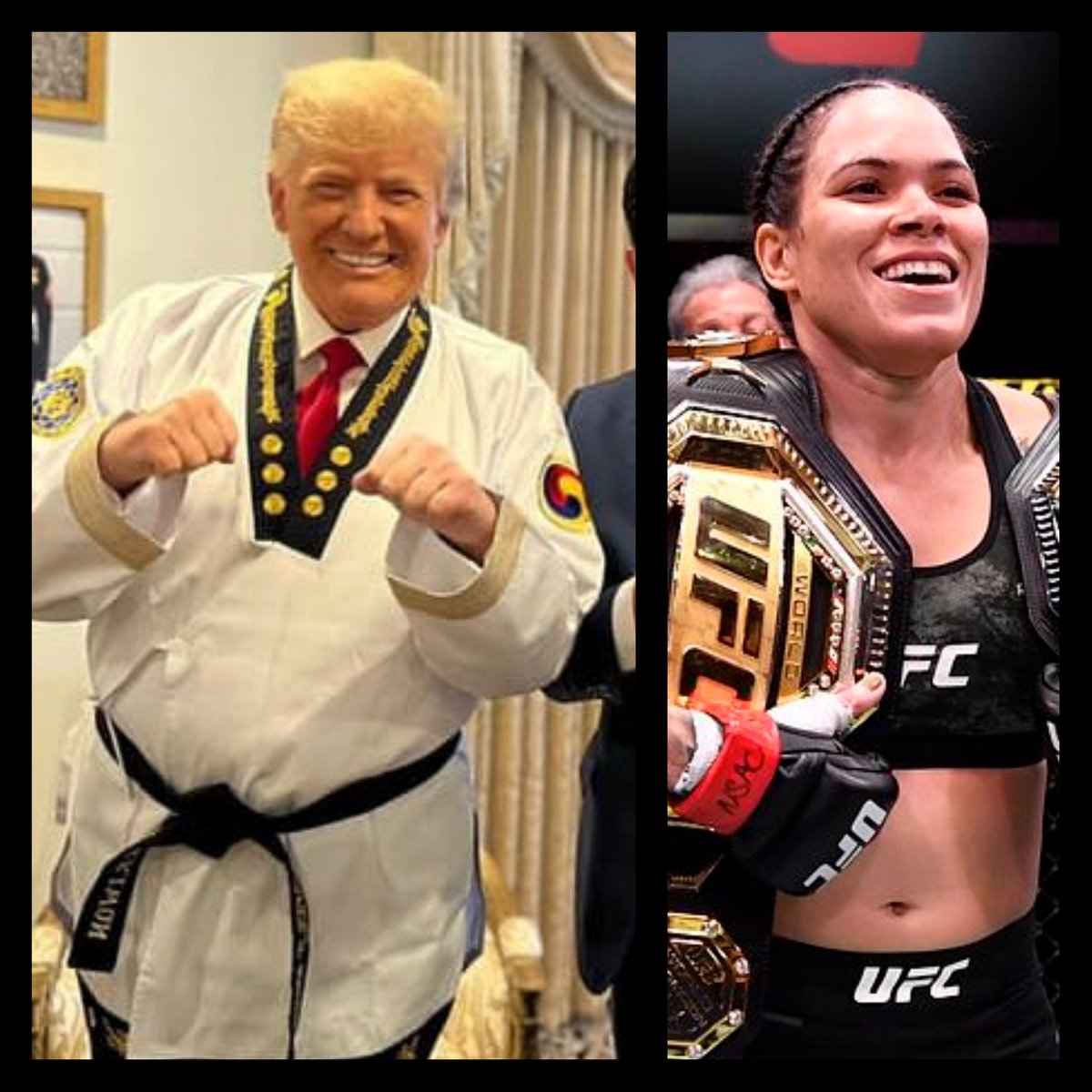 RT @73MilitaryMama: I would LOVE to see Trump get his ass kicked by Amanda Nunes. https://t.co/8czWt2xCIE