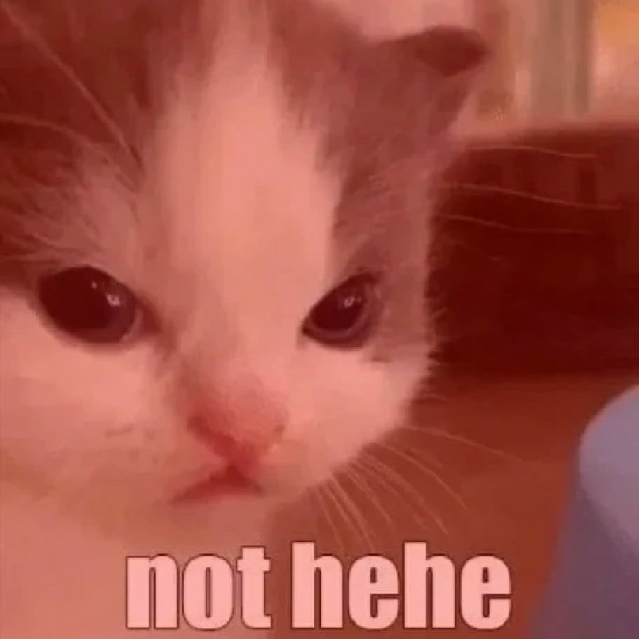 Eu tenho dois gatinhos, segue o fio:

O Joui e o Jouki. 

Joui é o gatinho que adotei primeiro, ele vai fazer dois aninhos. Jouki é o filhote que acabei de pegar, até aí, tudo ótimo.

O PROBLEMA É QUE ELES NÃO SE DÃO BEM DE JEITO NENHUM 😭 toda hora é uma briga...