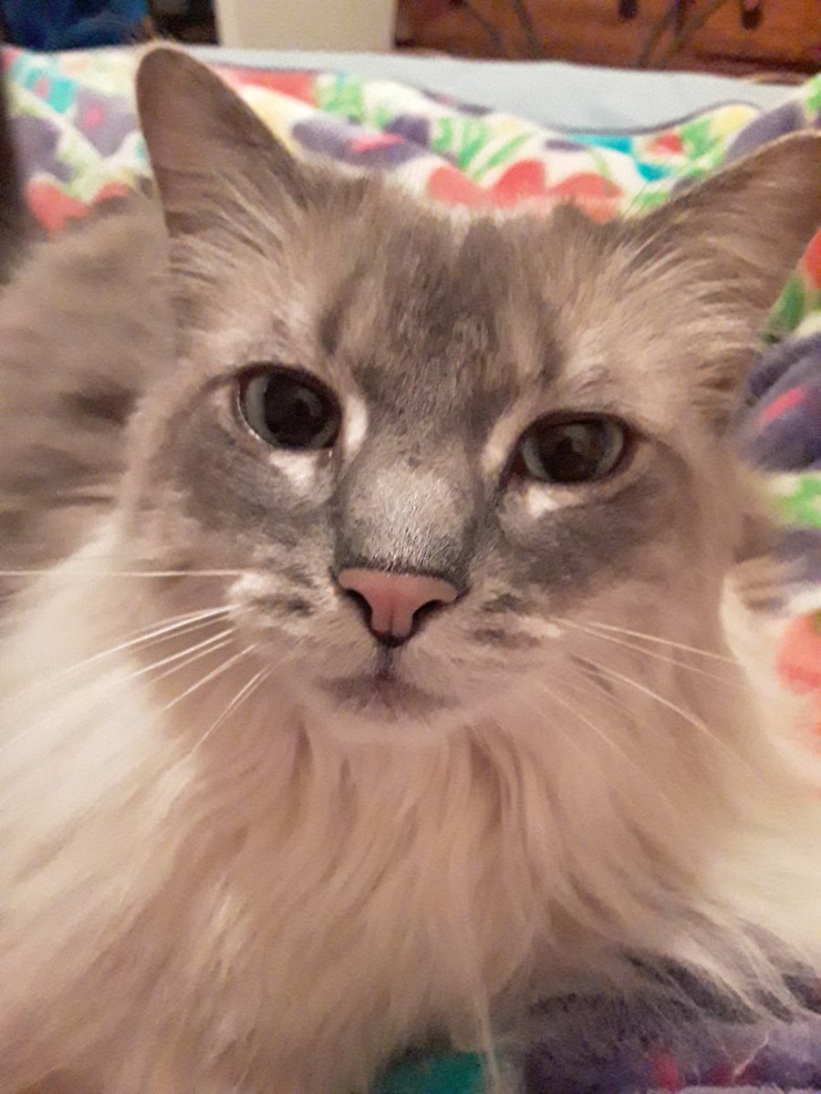 The one who's always there for me.