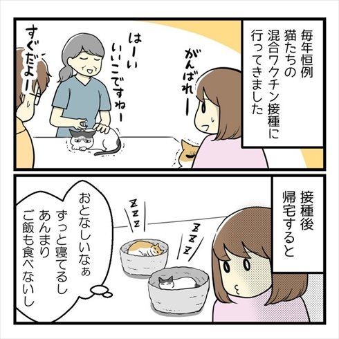 「ワクチン後、猫がおとなしいのは副反応なのかも……」 副反応のつらさを知り愛猫を思いやる飼い主の漫画 https://t.co/ElD0suEeuY 