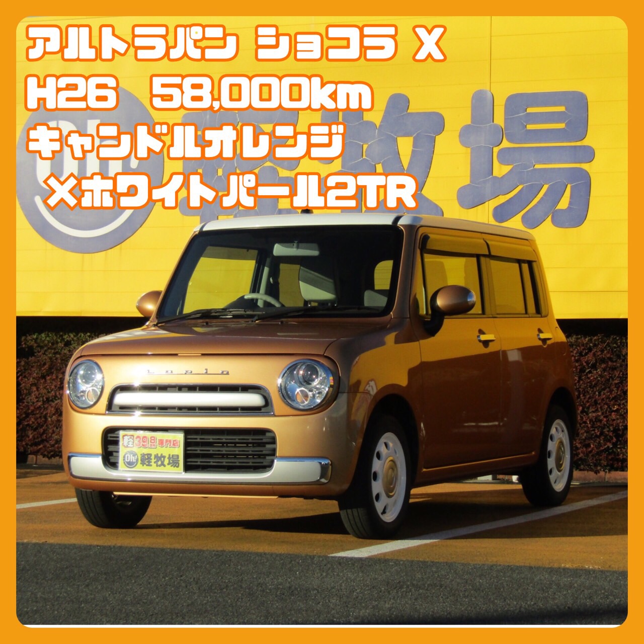 تويتر Oh 軽牧場 على تويتر Thank You Sold