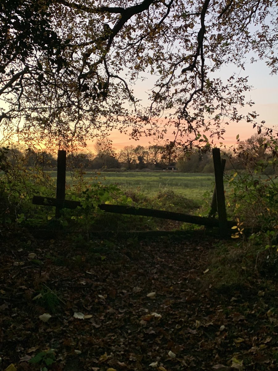 hallamio's tweet photo. Fading light https://t.co/yb5Qwp5WB2