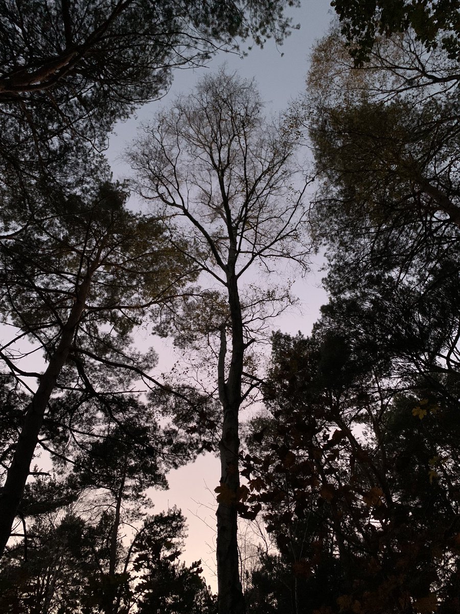 hallamio's tweet photo. Fading light https://t.co/yb5Qwp5WB2