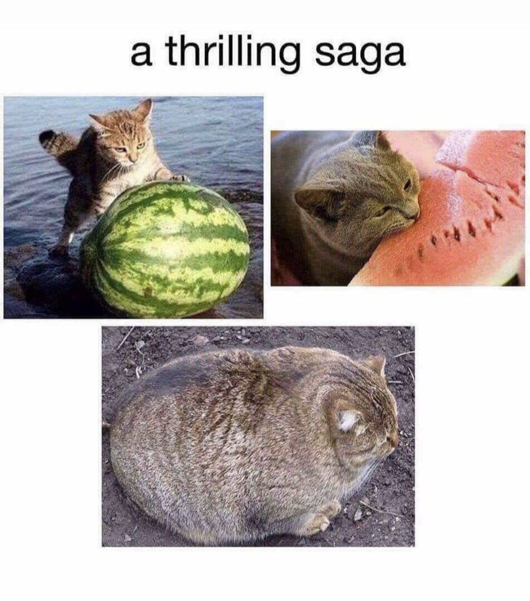 ThePushDaily's tweet image. 