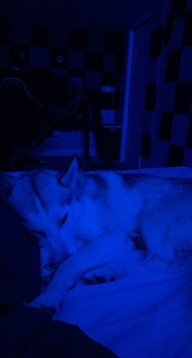 ACEllison's tweet image. Be focused stay consistent 🌎