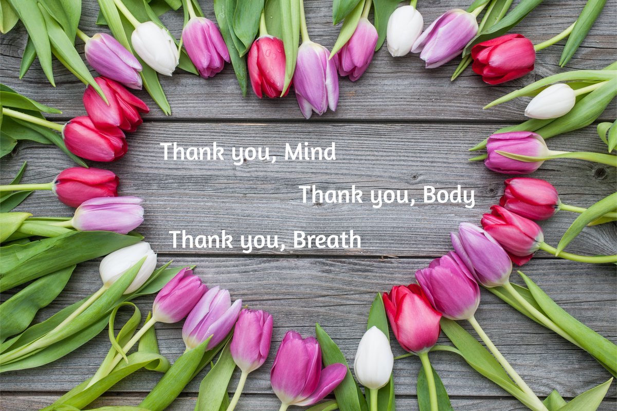 This mindful pause can transform your relationship with yourself, your loved ones and the world at large (and you don't have to wait for Thanksgiving to enjoy it). Happy Thanksgiving from the School Mindfulness Project. #mindfulness #theschoolmindfulnessproject