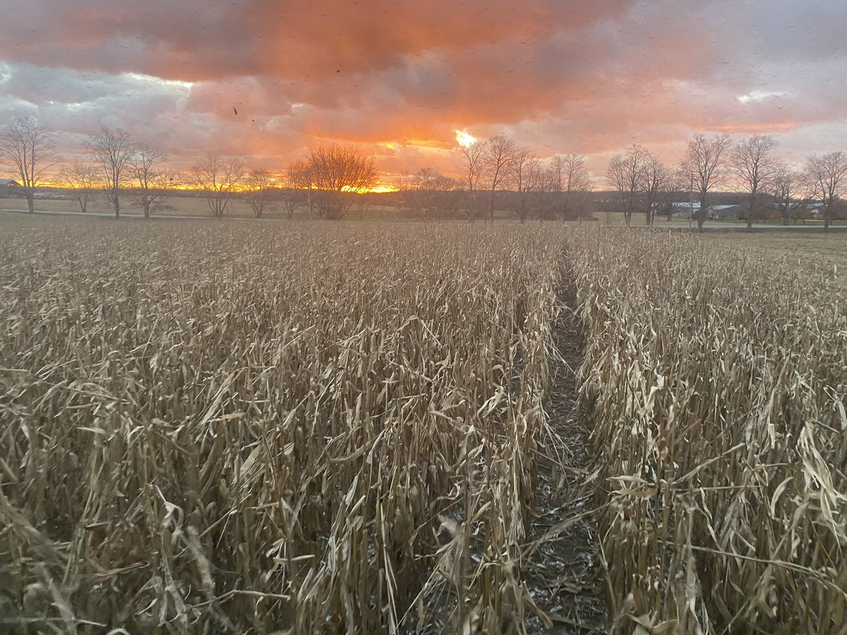 Rick Kootstra tweet media