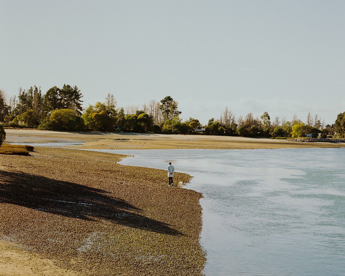 Dean Harvey tweet media