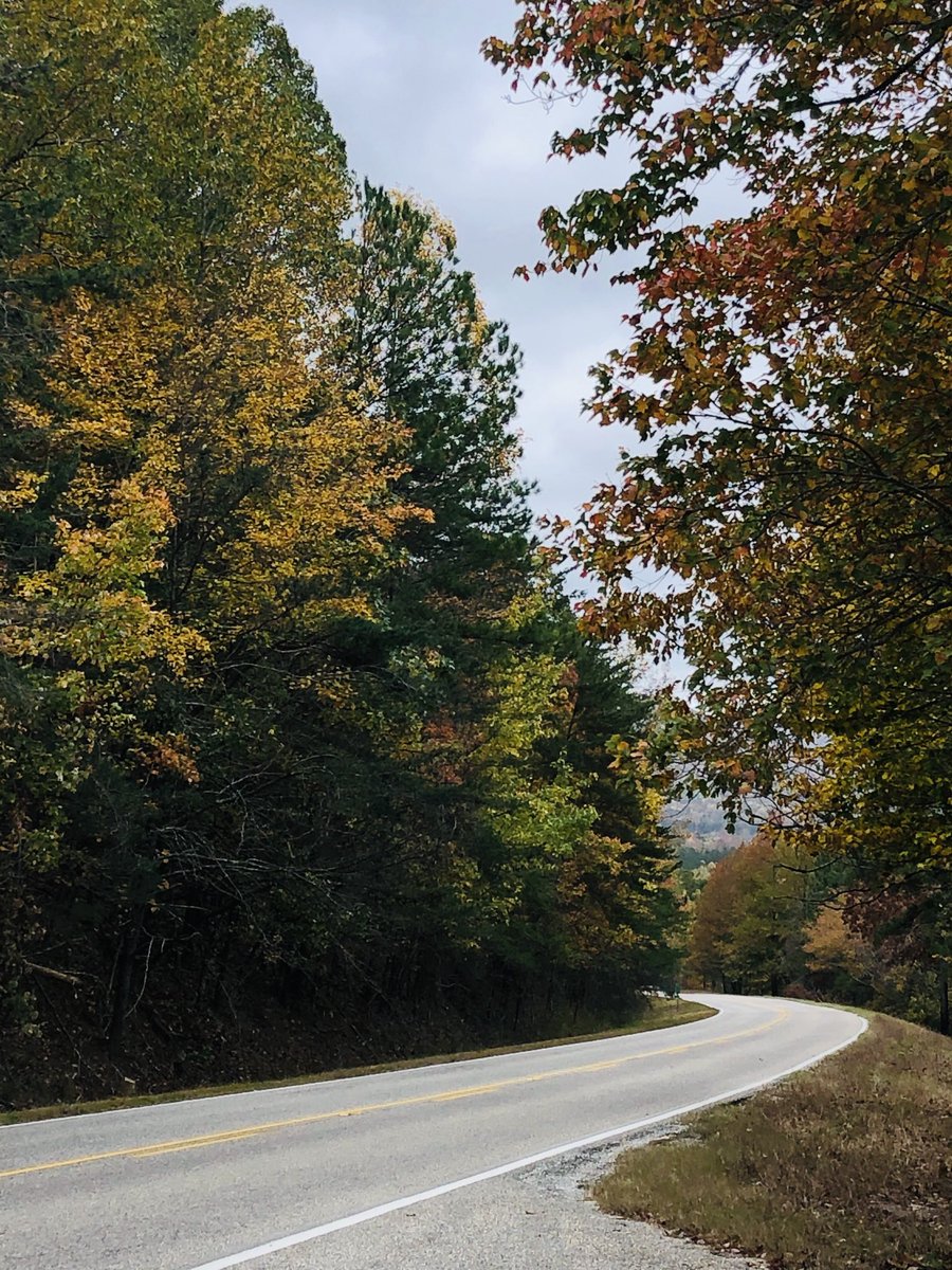 Happy Thanksgiving!🍁🧡🍁