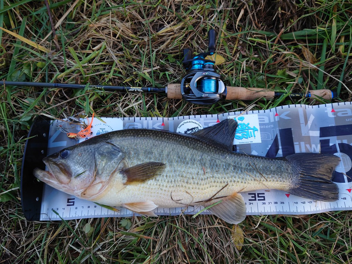 gyogyosuke1006's tweet photo. おはようございます。
【気温7℃ 水温8℃ ☁】
水温的にバイブレーションだろうけど、強風の為、スピナーベイト一択
これが見事に大当たり✌
50あるなしを頂きました💪
久しぶりにアドレナリン爆発😉
#bassfishing #バス釣り #DAIWA #steezctsvtw700xhl #ktfチューン #sawamura #OneUpSpinn #dexsam https://t.co/Y2STIQEaca