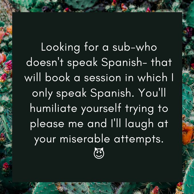 Looking for a sub-who doesn't speak Spanish- that will book a session in which I only speak Spanish.<a href="/tag/femboy"class="tags"><span>#femboy</span></a>