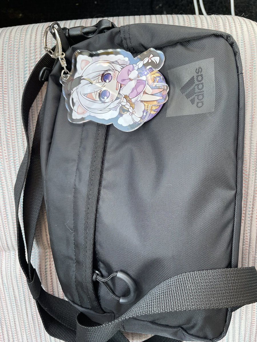 つけたけどデカいすぎる 