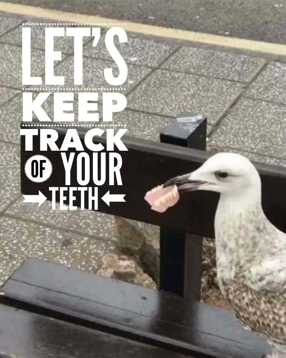 MichaelSharpDDS's tweet photo. Don’t lose your teeth. 🦷
Schedule your visit with us.
269-344-4004

#SSC #portagedentist #kalamazoodentist #6monthcheckup #6monthcleaning #Dentalhealth #smiles https://t.co/CXYhmRkqxO