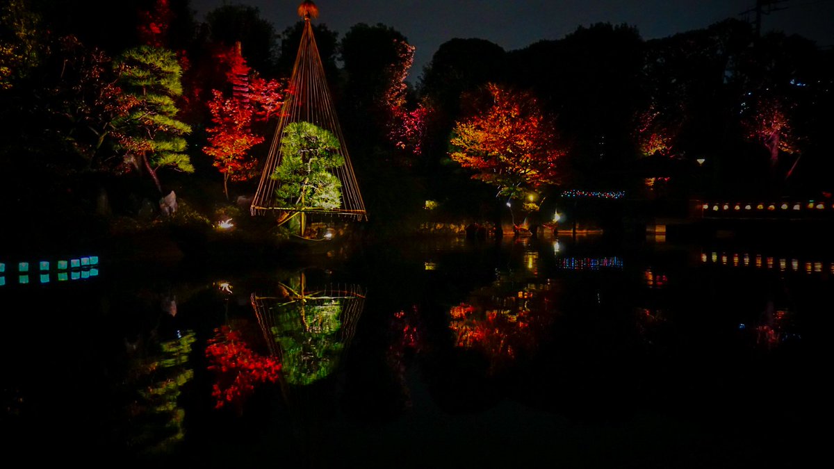 mo_ttitti's tweet photo. 🎃🍁目白庭園🍄🌰
 #photo 

暗いから画面最大に明るくしてね https://t.co/f7Oi8egxQu