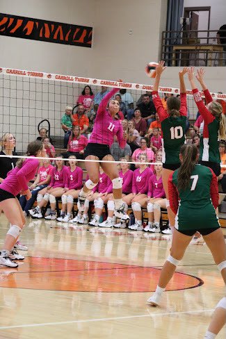 CHS Tiger Volleyball (@chstigervb) on Twitter photo Congratulations to Josie Ayala for being selected to the 4A west all-district team! <a href="/josieayala11/">josie ayala</a> <a href="/huskerblankman/">jeff blankman</a> Congratulations to Josie Ayala for being selected to the 4A west all-district team! <a href="/josieayala11/">josie ayala</a> <a href="/huskerblankman/">jeff blankman</a>
