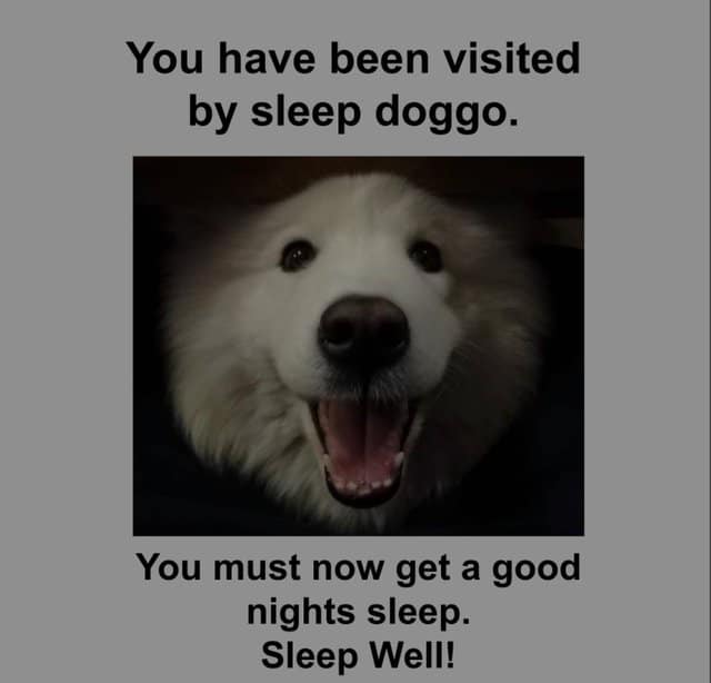 WholesomeMemes tweet media