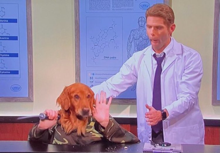 HeelStCloud's tweet photo. Me at the DMV tomorrow morning getting a new license and plates.
#DogHeadMan https://t.co/WqmVDOfHuO
