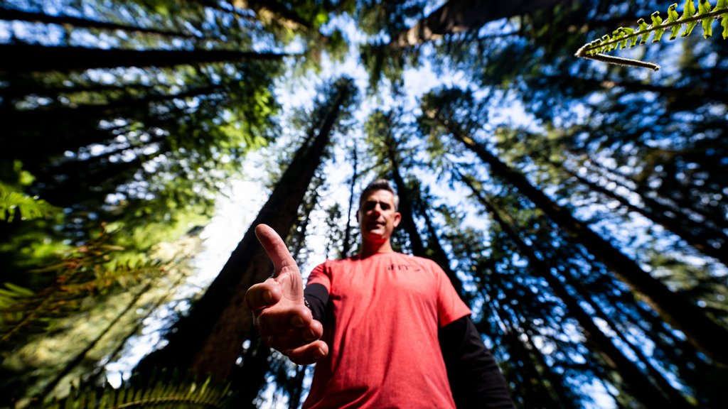 ProFormFitness's tweet photo. Welcome to Work It Out: Understanding Depression with @iFIT Guide @Jarrod_Spencer. ๐งก
This series is all about normalizing talking about depression, finding new resources to help, and more.
Click here for the series: https://t.co/GsMyAlrBhP
#ProForm #depression #Train2Live https://t.co/UbPSGxoeCG