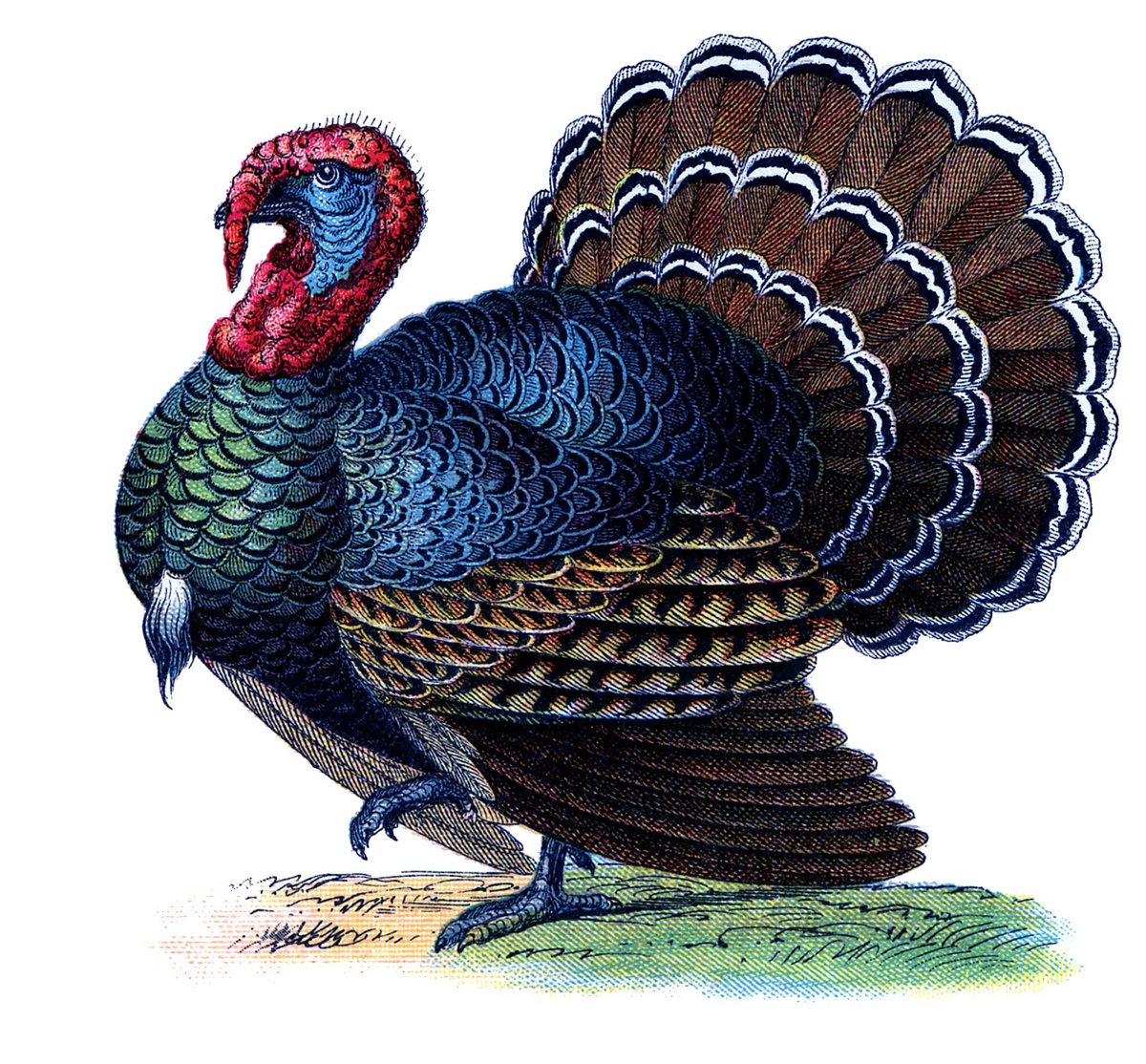 JoinCMATO's tweet photo. Museum alert!

CMATO will be closed on Friday, 11/26, to allow our hard-working staff time to spend with their families. Normal hours will resume on Saturday, 11/27. We look forward to seeing you then! #thanksgiving https://t.co/xIbQaYs1n9