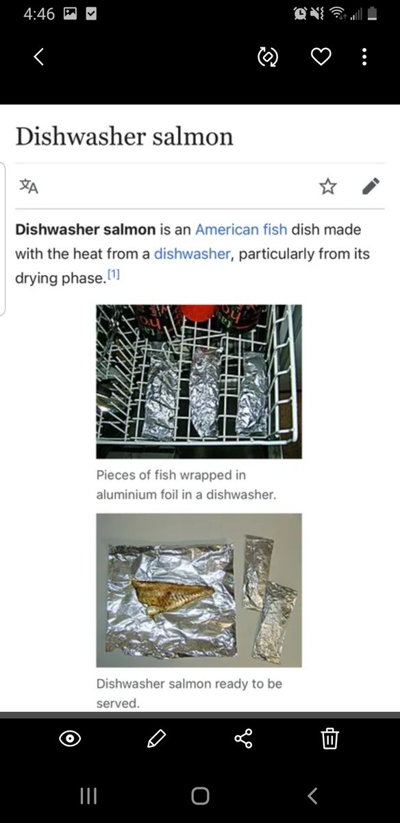 Just trying to multi task and get these projects done.
#multitask #dishwashersalmon