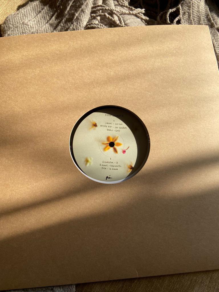 projindigo's tweet photo. Proud to announce our various artist EP efflorescence ii is out now on vinyl via bandcamp

https://t.co/bFHvnoiji8 https://t.co/PgXHu5eFw1