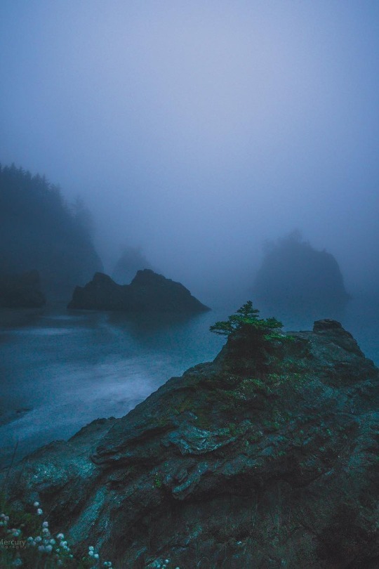 Archillect (@archillect) on Twitter photo 