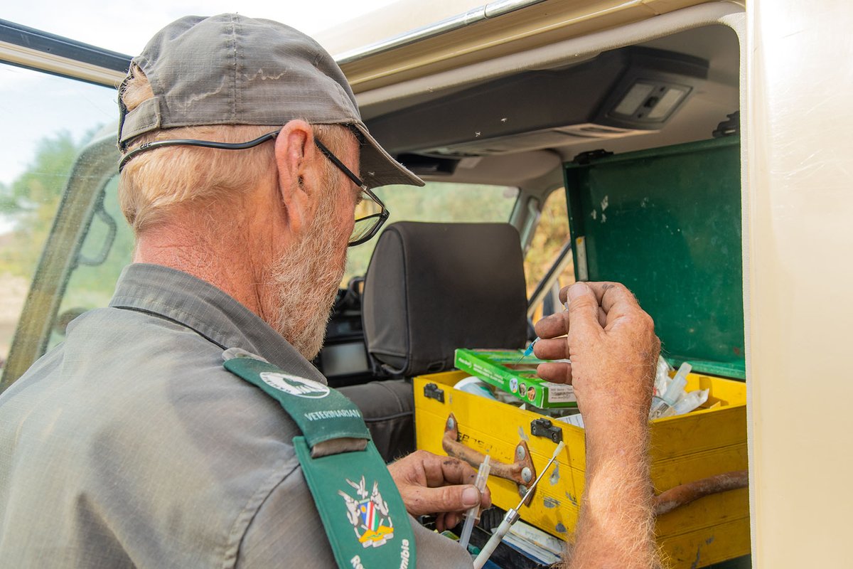 Elephant-Human Relations Aid tweet media