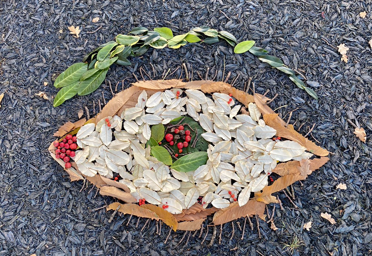 headintothewild's tweet photo. Yesterday’s leaf art https://t.co/yeZQZrpeec