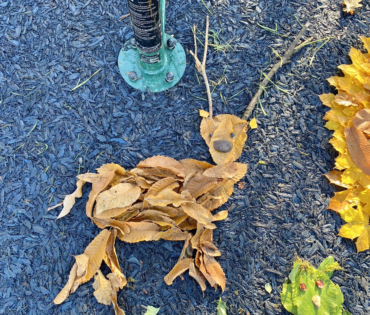 headintothewild's tweet photo. Yesterday’s leaf art https://t.co/yeZQZrpeec