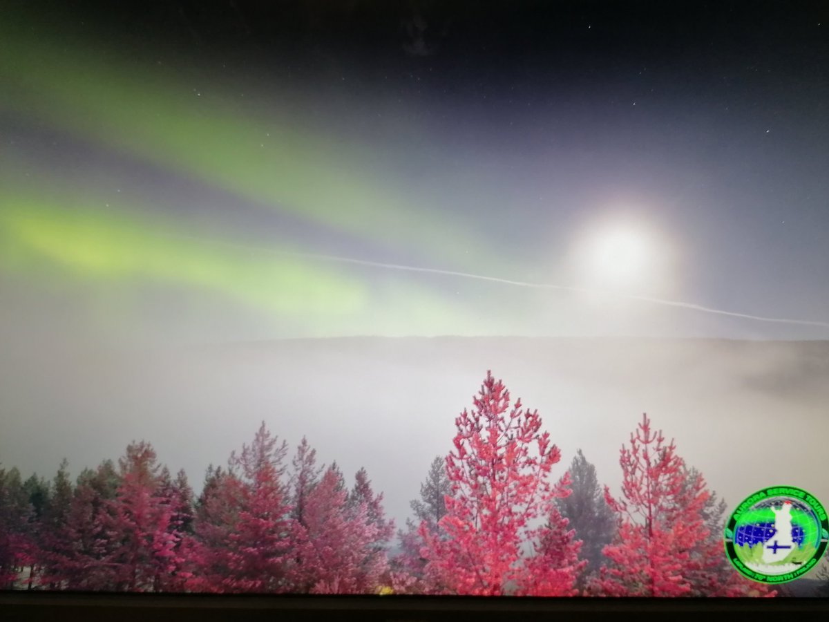 DarrenBeardmor1's tweet photo. #Aurora #Auroraborealis #northernlights #utsjoki #exploreutsjoki @chunder10 @owenhumphreys1 @_SpaceWeather_ @TamithaSkov
Cloud inversion, Aurora and jet control all in one shot.
A good night in Utsjoki, Finland https://t.co/ngCEMmXqNw
