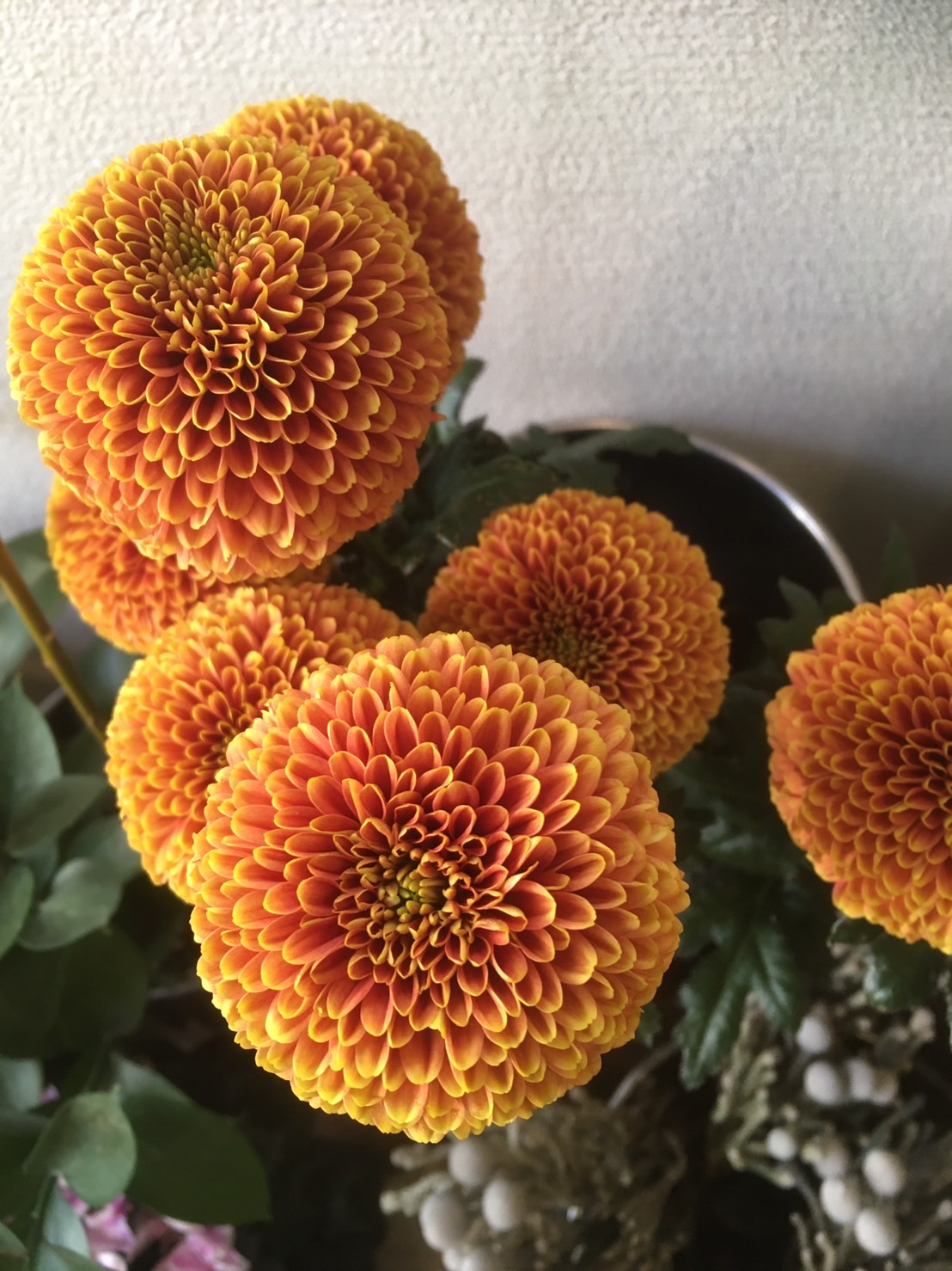 Jade Jadeflowers Twitter