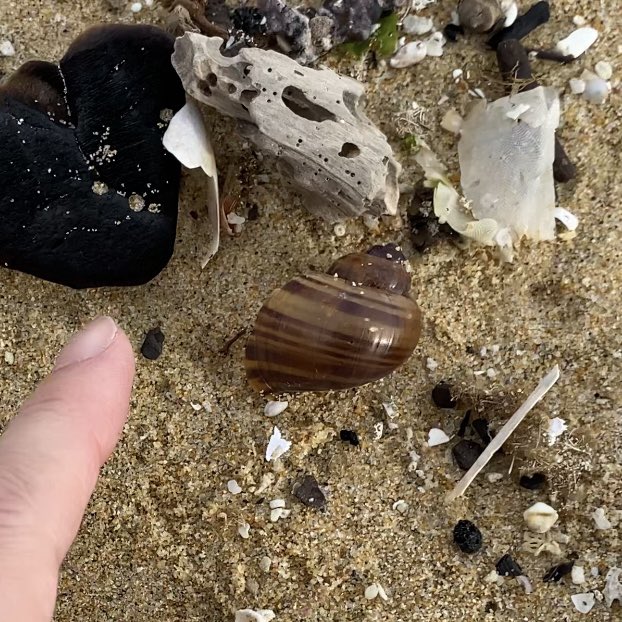 海と河原 Umitokawara2141 Twitter