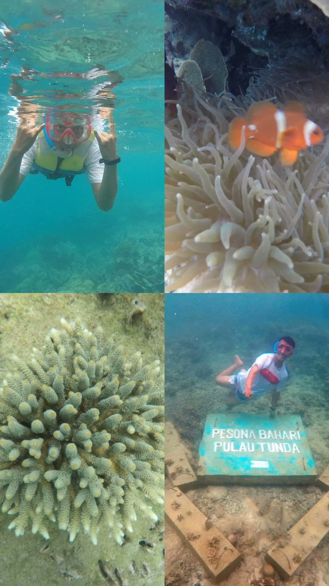 Been05193740's tweet photo. Mencari ketenangan di dasar laut ❤ https://t.co/E8cequfZOk