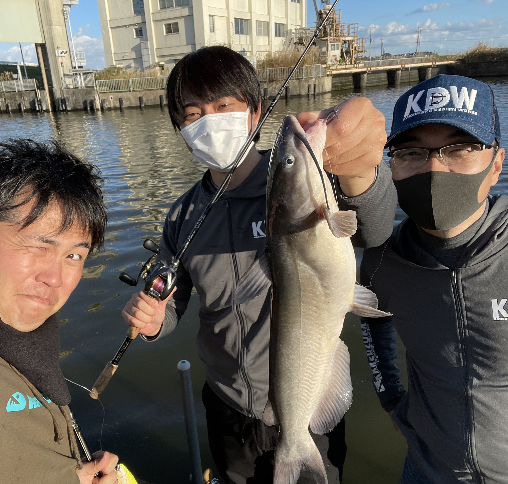 怪魚ロッド Twitter Search Twitter