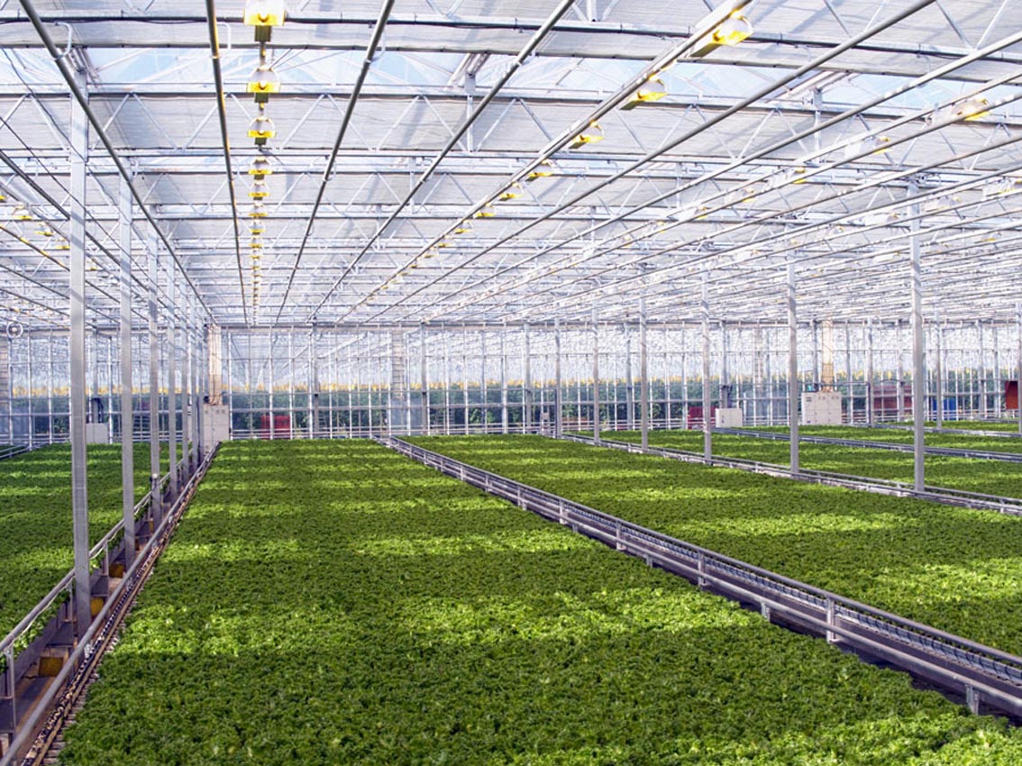 Тепличный комплекс Подмосковье Воскресенск