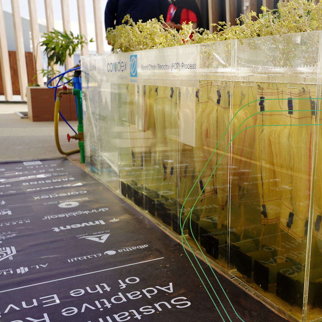 corodex_ind's tweet photo. Corodex Industries cooperated with the Engineering College of the University of Sharjah, and sponsored the wastewater treatment part of the “Sustainable House” project for Team Sharjah - SHARE

#sustainability #ecofriendly #solarpower #mobility #smartsolutions #cleanenergy https://t.co/osBSjCUDRp