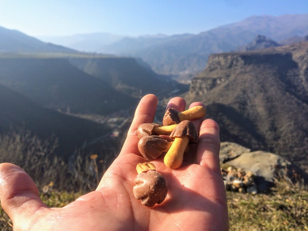 アルメニアでは きのこの山 が量り売りされてる 世界にたけのこの里が広まらない事情がわかり 世界大戦へ Togetter