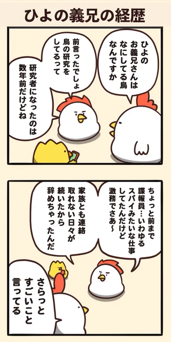 ひよの義兄の経歴 