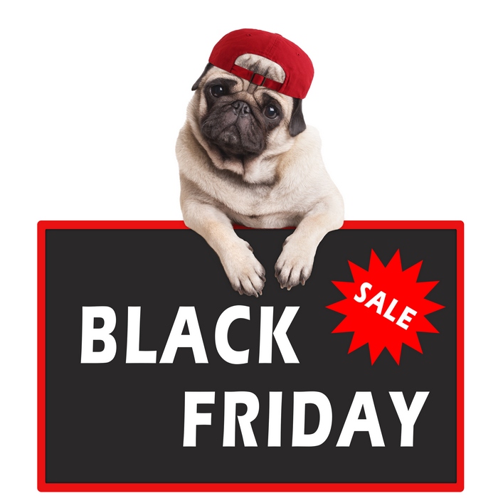 MoreThanPaws's tweet photo. 20% OFF EVERYTHING - BLACK FRIDAY &amp; CYBER MONDAY - https://t.co/xCmZjIejgC https://t.co/Hw87znz7nr