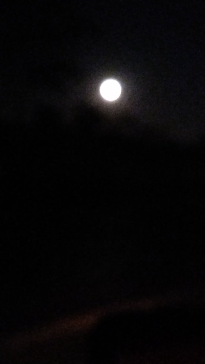 guidagava's tweet photo. #OlheALua
Que imagem linda tinha na estrada hoje.
@Astronomiaum https://t.co/B1yrAv30Lh