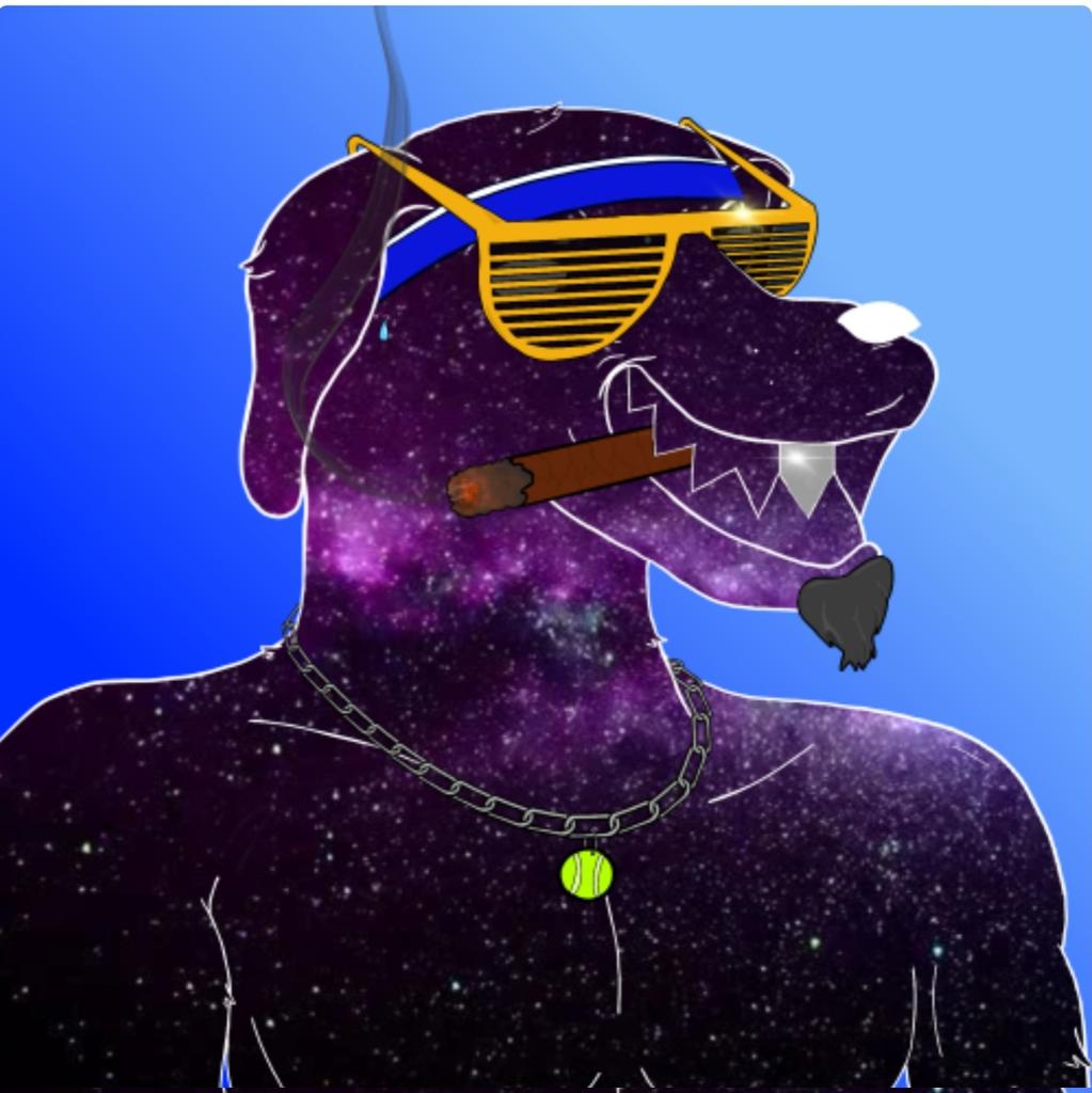 WajidRiasat's tweet photo. #RVN
#HANDSOMEHOUNDS
#BLOCKDOG

check out the rarity trait chart and grab yourself a handsome fella whe you can!!! https://t.co/VEMl21KoCv