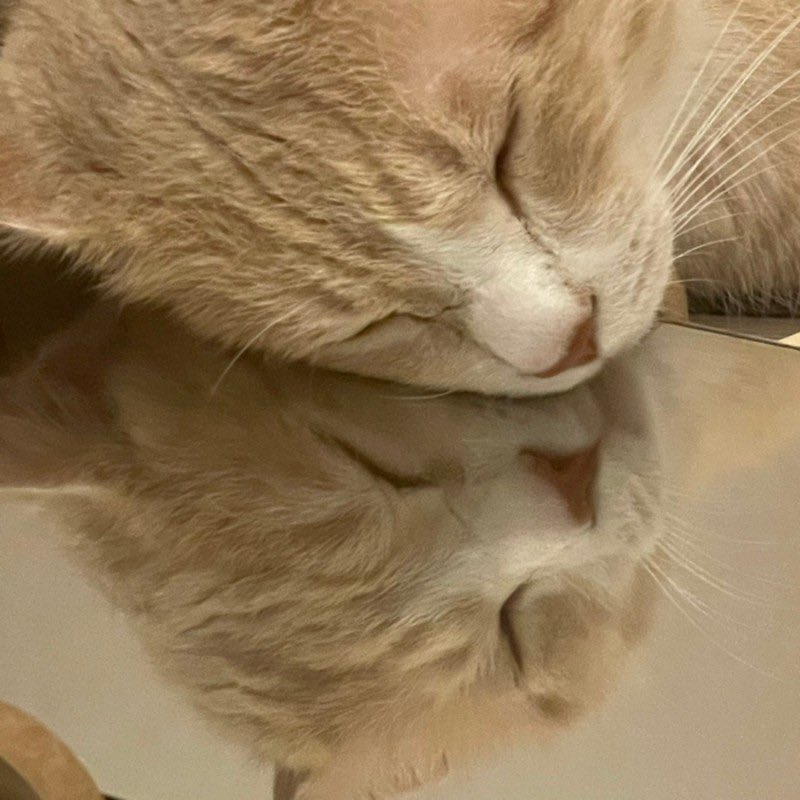 withmypotato's tweet photo. ae감자 https://t.co/UGZbY1ssdK