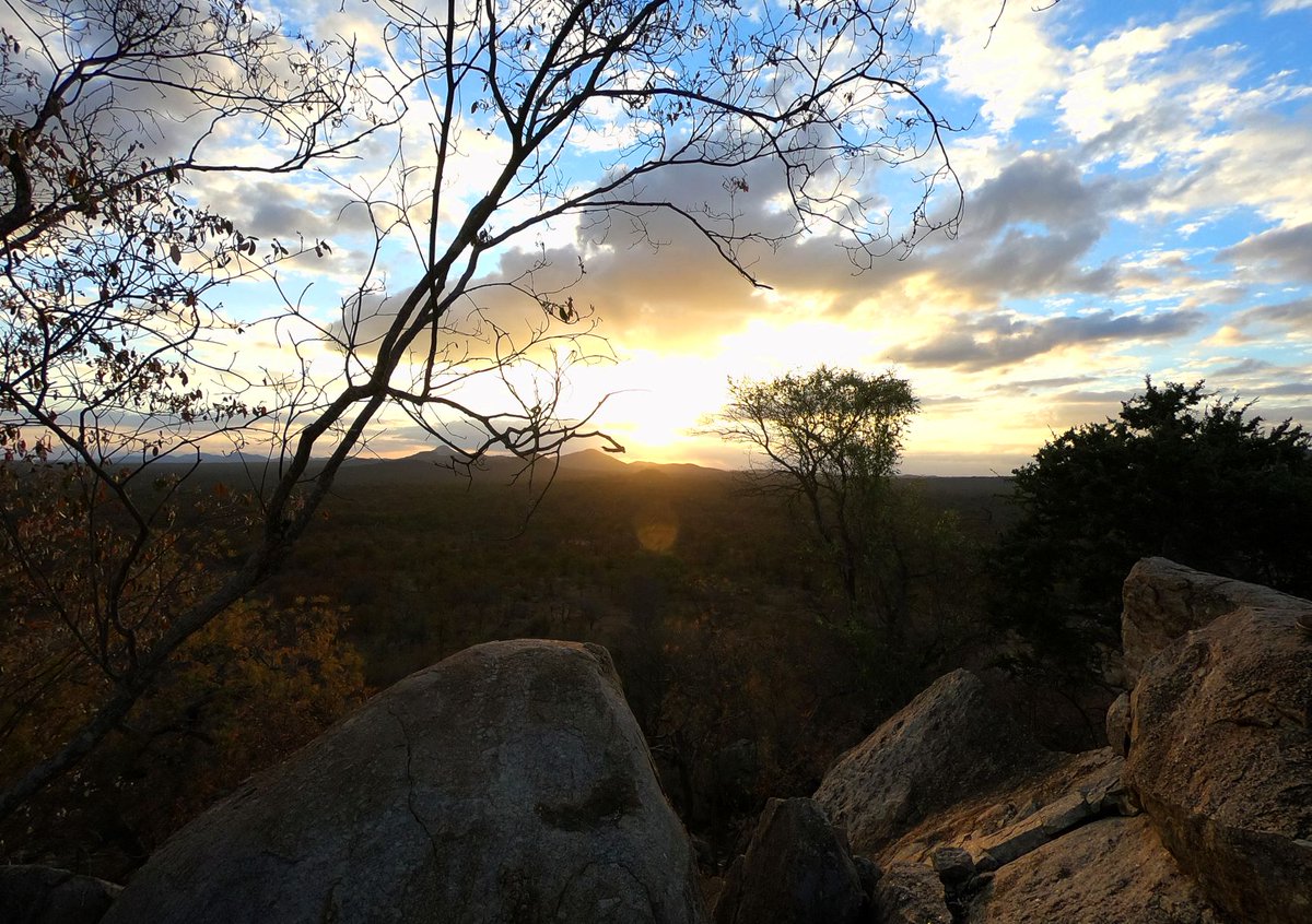 FootSafaris's tweet photo. South Africa's Lowveld has by far the best diversity of walking safari options in Africa.
The latest alluring option is a six-night adventure in Selati Game Reserve, run by iLala Safaris.

Read more 👉https://t.co/e0ODUoIDdy https://t.co/R6274sTjtE