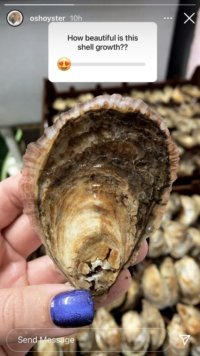 Oyster Seed Holdings tweet media