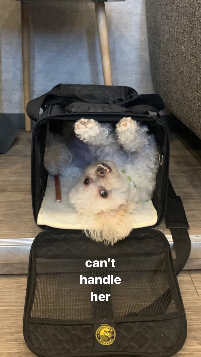 camicmendesbr's tweet photo. “não aguento ela” 

📷 Camila Mendes via Instagram Stories. https://t.co/7fYcGw8zvM