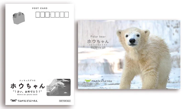 公式】『ホッキョクグマのホウちゃん』フォトブック@発売中